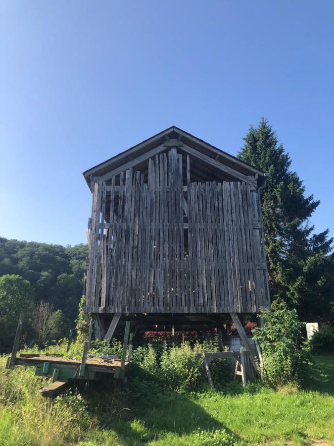 Les Caliciades 3 A Gros-fays Apartment Bièvre