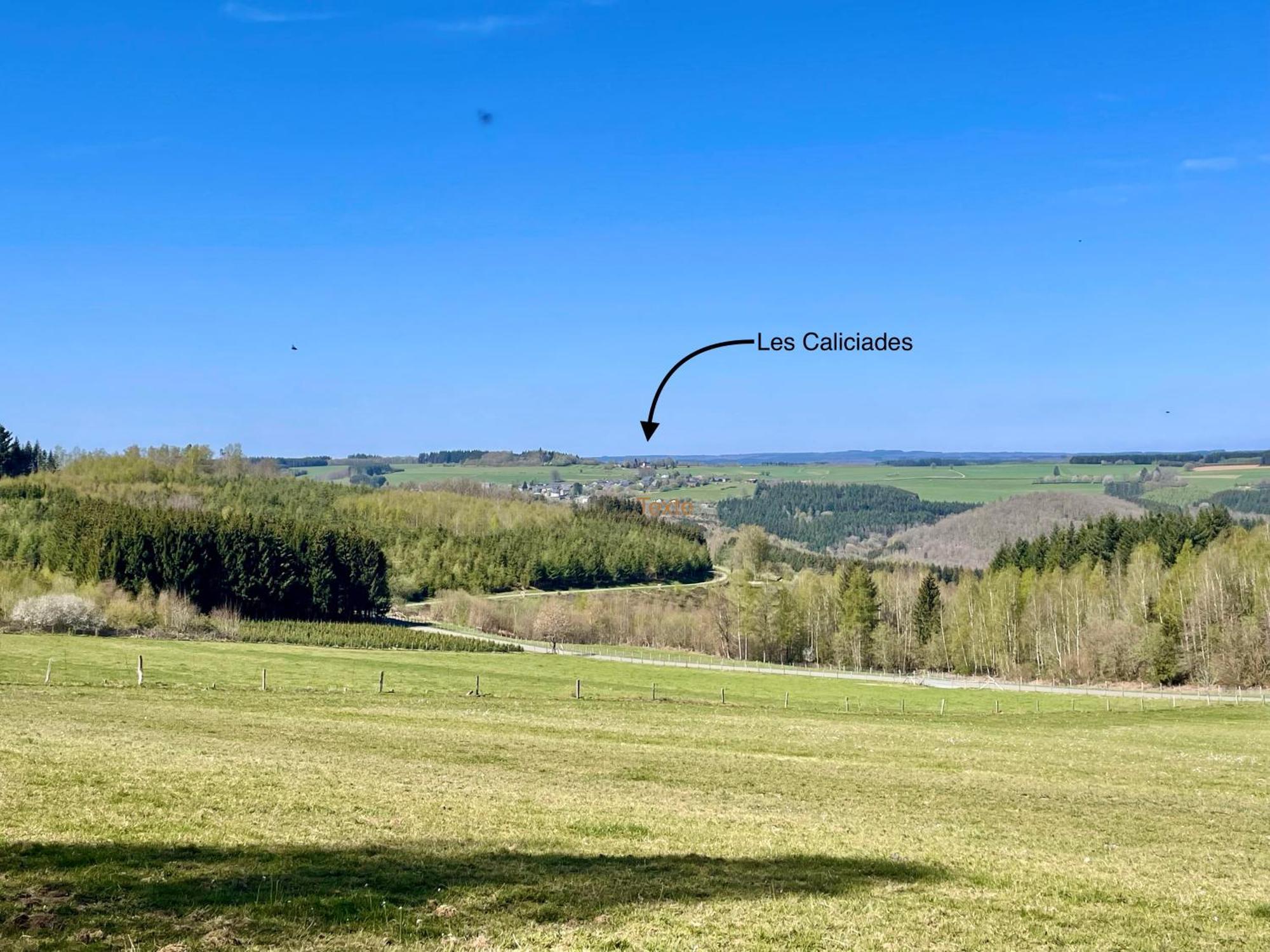 Les Caliciades 3 A Gros-fays Bièvre